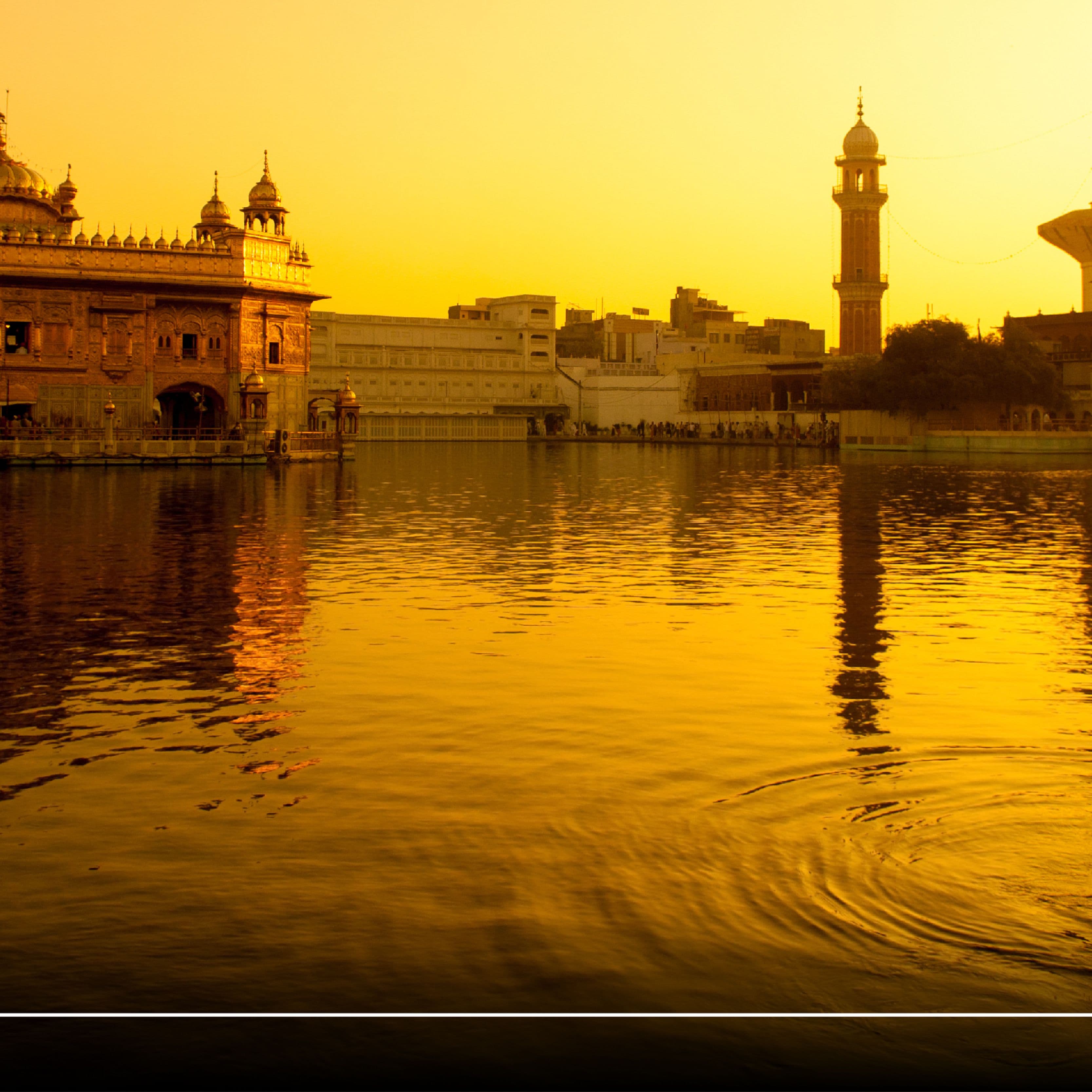 Amritsar: The city that’s made selfless service its calling card 